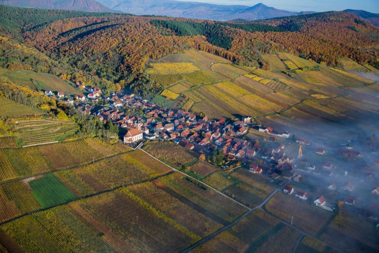 Maison De Ville Selestat Centre Exteriér fotografie